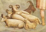Detail of Birth of Christ Giottino